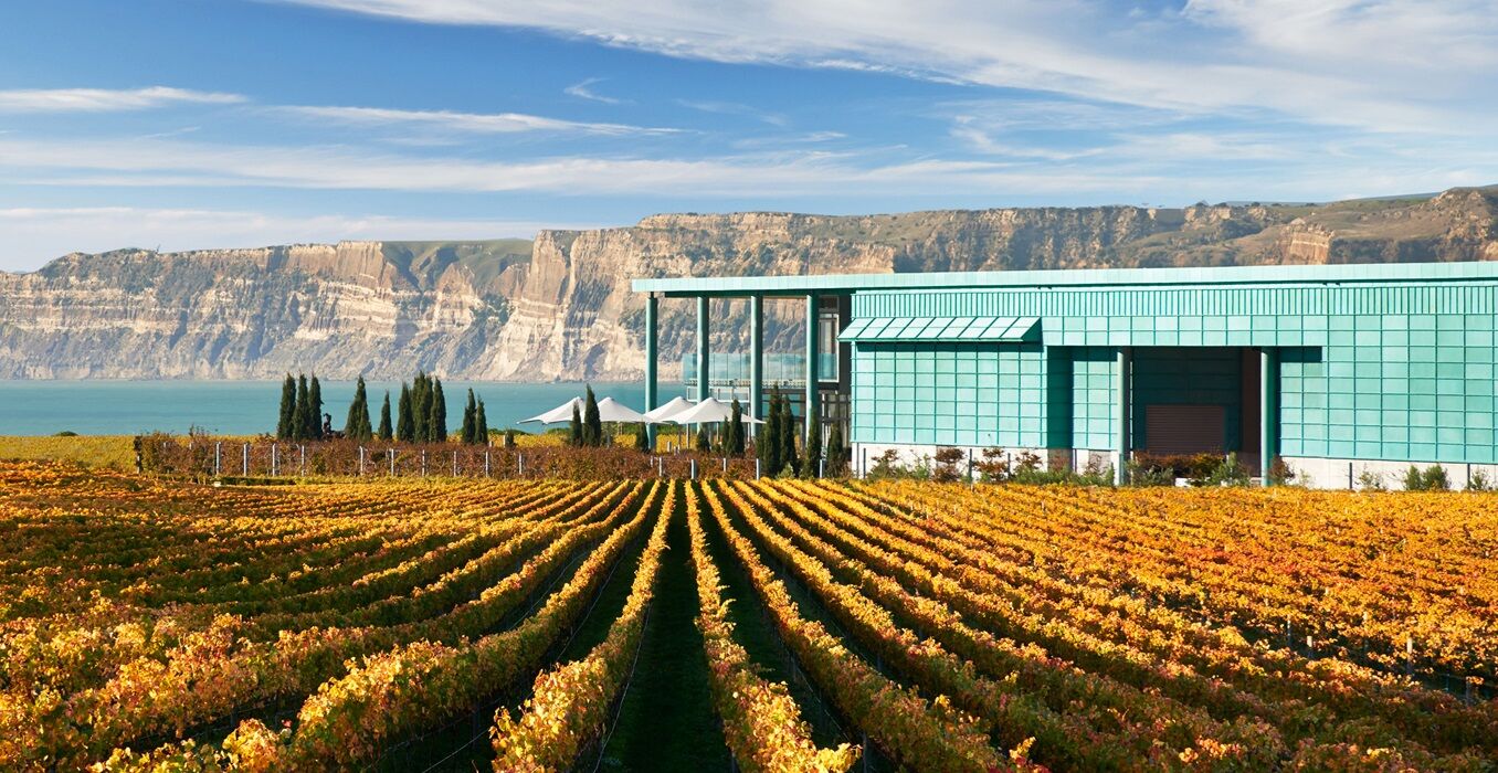 Purchasing a 5 million dollar vineyard